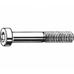 Paar Schrauben hinterer Bremssattel aus Edelstahl TRP flat mount