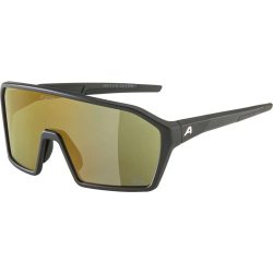 Sonnenbrille Alpina Ram Q-Lite