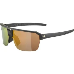 ALPINA Herren Radbrille Swift HR schwarz