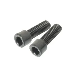 Satz mit 2 Schrauben Brake Authority M6x20mm