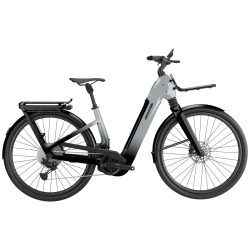 E-Bike für alle Wege Cannondale Tesoro Automatiq Low StepThru HS