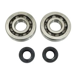Pleuellager und Dichtung Stahl P2R Peugeot 50 Fox
