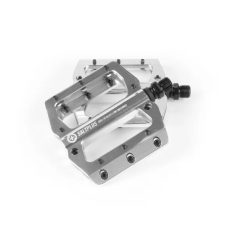 Pedale Salt Plus Echo