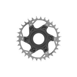 Tablett Sram XX T-Type Eagle Fazua