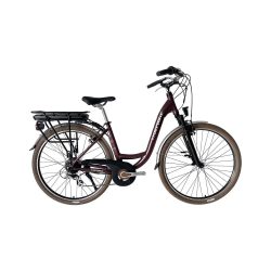 E-Bike für die Stadt Wolfbike Radaway R28