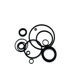 O-Ring WSS Fox RP23 BV