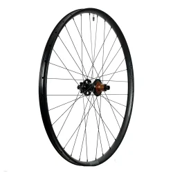 Hinterrad Stans Arch MK4