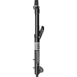 Gabel Rockshox Domain Gold Isolator RC3 OS44