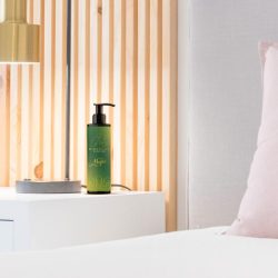 BodyGliss ? Massageöl und Gleitmittel in 1 Minty Mojito ? 150 ml