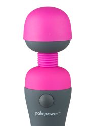 PalmPower Massager