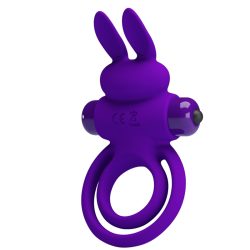 Pretty Love Penisring mit Vibration