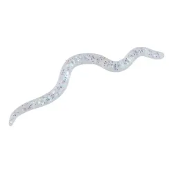 Balzer Wiggle Worm 8cm - Gummiköder