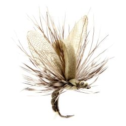 J:son Mayfly Emerger - Trockenfliege