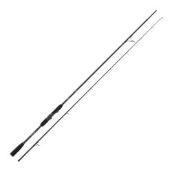 Stucki Fishing Salmo Trutta Fario
