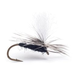 Guideline Rena Midge