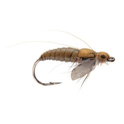 J:son Caddis Pupa - Nymphe