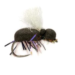 Fulling Mill Procter's Target Beetle White o.W. - Trockenfliege