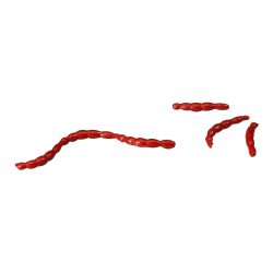 Berkley Gulp Alive Blood Red