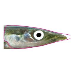 Pro Sportfisher Pro Sand eel foil - Folie