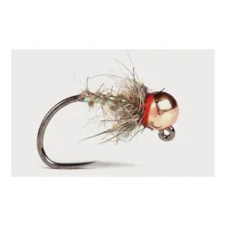 Guideline The Pearl Hare