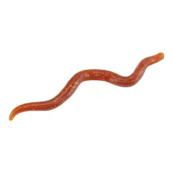 Balzer Wiggle Worm 8cm - Gummiköder