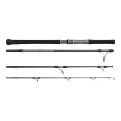Hearty Rise Skywalker Exo Light - Salzwasser Spinnrute
