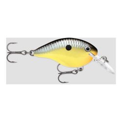 Rapala DT® (DIVES-TO) SERIES - Wobbler
