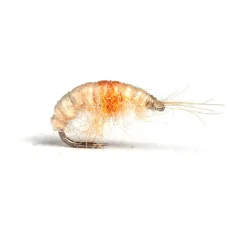 Guideline Scud - Nymphe