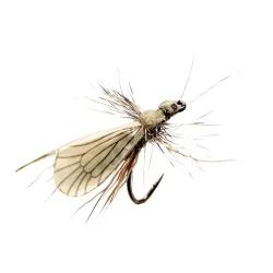 J:son Caddis Adult - Trockenfliege