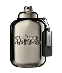 COACH Pure Platinum Parfum 100 ml Herren