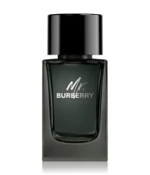 BURBERRY Mr. Burberry Eau de Parfum 100 ml Herren