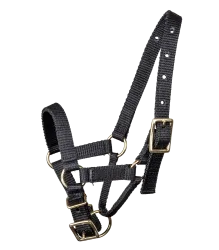 Waldhausen Alpaka Halfter