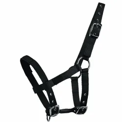 Waldhausen MiniShetty Halfter