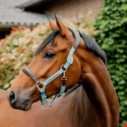 Horseware Signature Competition anatomisches Lederhalter