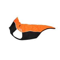 Back on Track Eddie petite High auffälliger Hundepullover