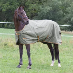 Bucas Irish Turnout Light 30g Regendecke by Horseven