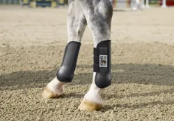 Eskadron Gamasche Protection Boots hinten