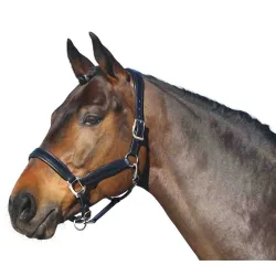 Euroriding Halfter Leder British Line