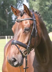 Hans Melzer Trense Kreuth
