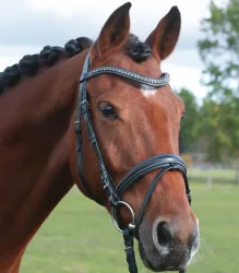 Hans Melzer Badminton Trense