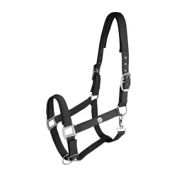 Waldhausen Halfter Trinidad
