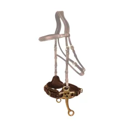 Dyon Hackamore Dyon Collection