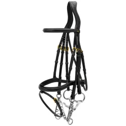 Dyon Kandare mit kombiniertem Reithalfter D Collection