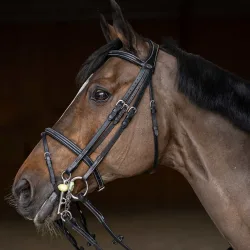 HFI anatomischer Kandarenzaum mit kombinierten Reithalfter Double Jump