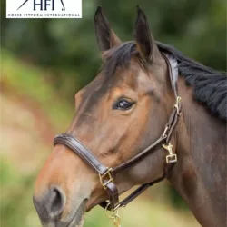 HFI anatomisches Lederhalfter mit besticktem Nasenriemen und abnehmbaren Kehlriemen