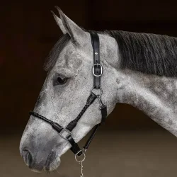 HFI Lederhalfter mit geflochtenen Seitenpartien Braided