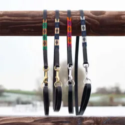HFI Hundeleine im PoloDesign