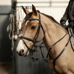 HFI anatomische Trense mit kombiniertem Reithalfter Milano
