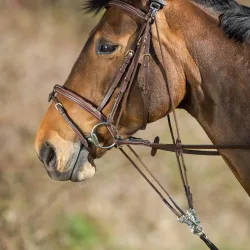 HFI Gogue mit Riemenscheiben