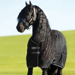 Horseware Rambo Stable 200g